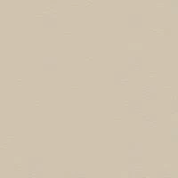 P2 EUROLINE 911 (светло-серый)